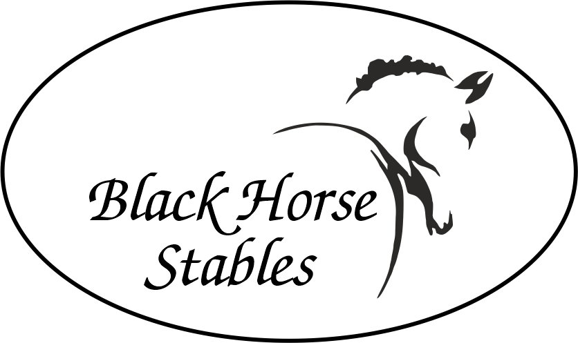 Black Horse Stables Logo